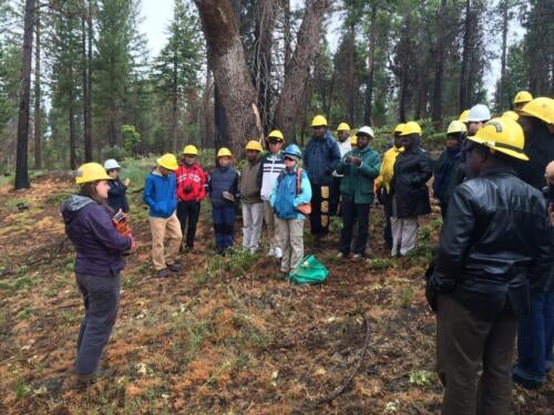 Teaching International Seminar on Climate Change and Resource Mgt about conifer regeneration after fire, 2018